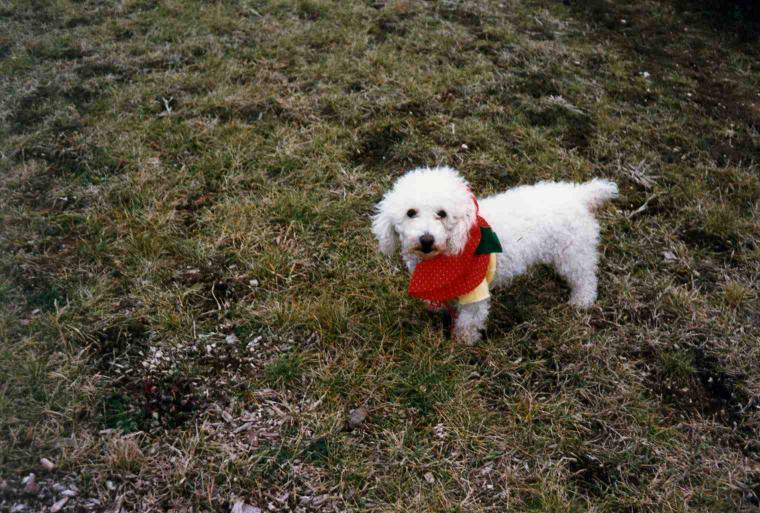 S_pic055.jpg
