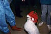 S_pic058.jpg