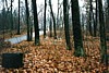 S_pic061.jpg