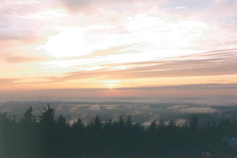 S_pic157.jpg