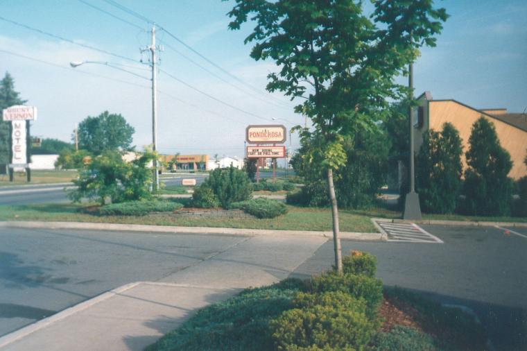 S_pic186.jpg