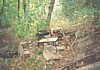 S_pic364.jpg