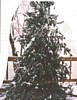 S_pic413.jpg