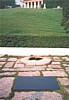 S_pic443.jpg