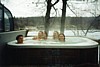 S_3242.jpg