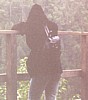 S_1070.jpg