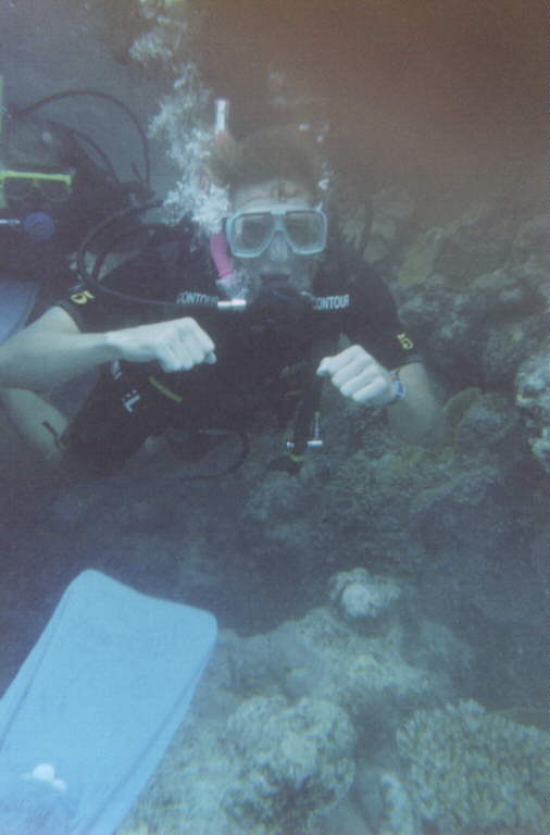 dive_03.jpg