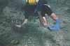 dive_01.jpg