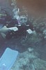 dive_03.jpg
