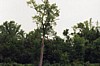 S_0610.jpg