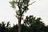S_0630.jpg