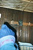 S_2650.jpg