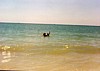 S_3710.jpg