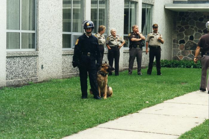 S_1150.jpg