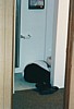 S_2605.jpg