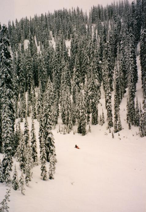 S_2940.jpg