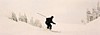S_2700.jpg