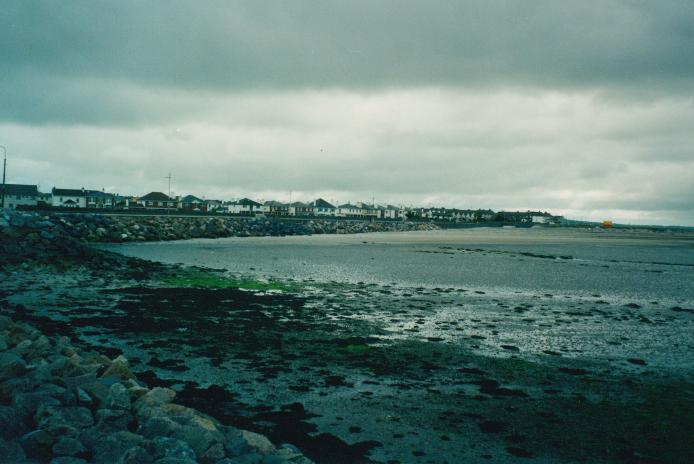 S_01420.jpg