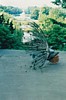 S_02300-KasselPeacock.jpg