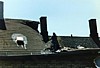 S_3517.jpg