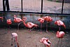S_4414.jpg