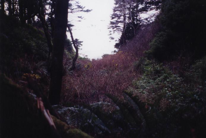 S_4823.jpg