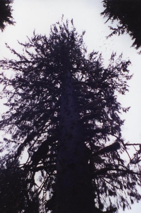 S_4829.jpg