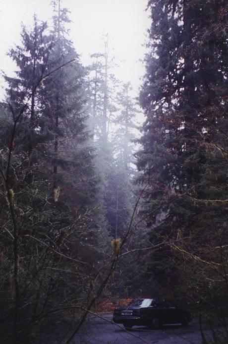 S_4830.jpg
