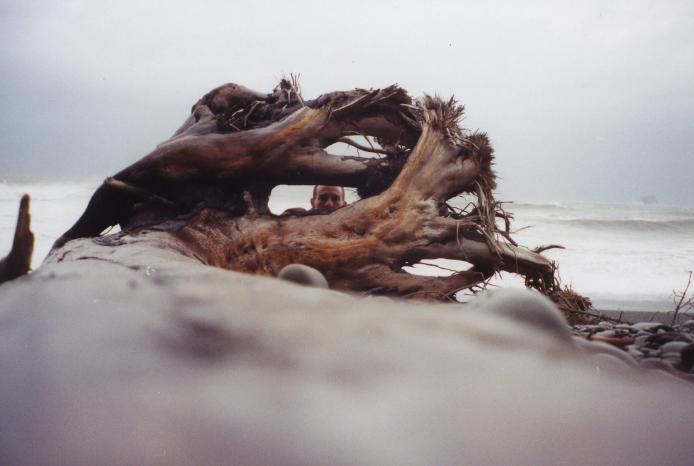 S_4842.jpg