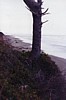 S_4824.jpg