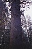 S_4828.jpg
