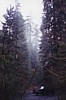 S_4830.jpg