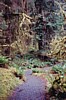 S_4831.jpg