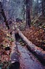 S_4834.jpg