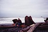 S_4838.jpg