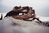S_4842.jpg