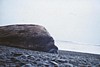S_4847.jpg