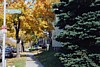 S_4777.jpg