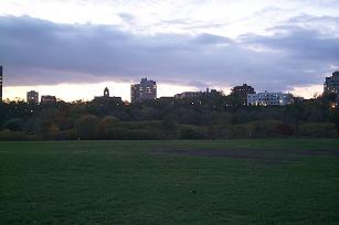 S_p0001346.jpg