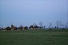 S_p0001337.jpg
