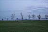 S_p0001339.jpg