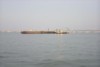 S_p0003410.jpg
