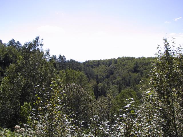 S_104-0418_IMG.JPG