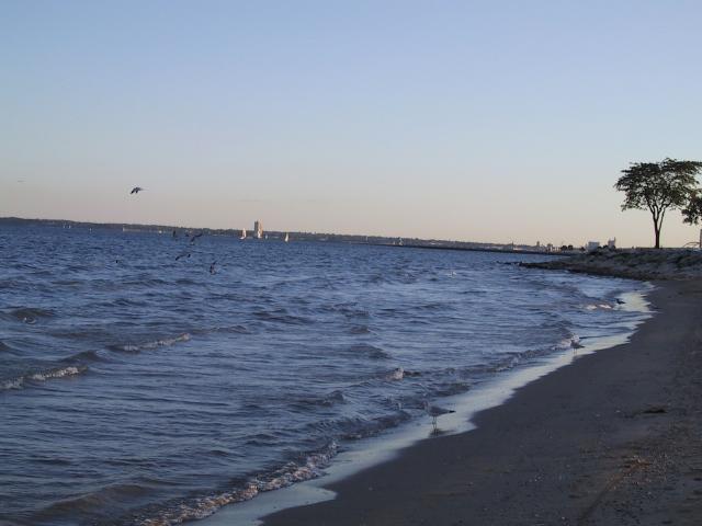 S_img_1641.jpg