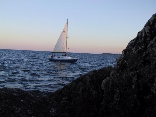 S_img_1652.jpg