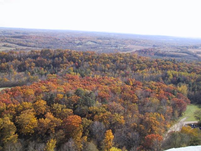 S_img_2038.jpg