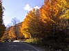 S_img_1996.jpg