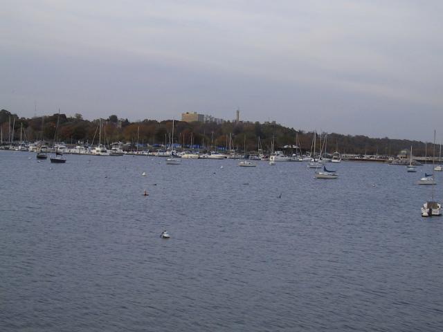 S_img_2193.jpg