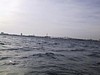 S_img_2115.jpg