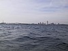 S_img_2116.jpg